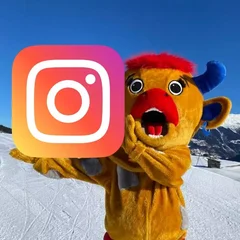 Berta gibt es jetzt auch auf Instagram
