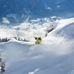 Freeride Dayride